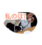 ボステリ ミミ（個別スタンプ：6）