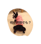 ボステリ ミミ（個別スタンプ：8）