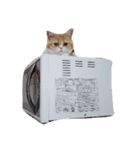 きなこっぴ（個別スタンプ：2）