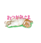 ふぅぴょこスタンプ（個別スタンプ：3）
