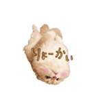 ふぅぴょこスタンプ（個別スタンプ：4）