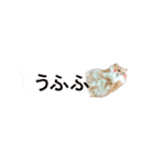 ふぅぴょこスタンプ（個別スタンプ：6）