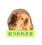 モコ！（個別スタンプ：2）