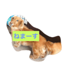 モコ！（個別スタンプ：4）