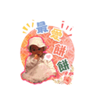 Tensuns and friends（個別スタンプ：18）