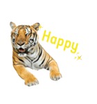 tiger kingdom（個別スタンプ：2）