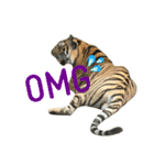 tiger kingdom（個別スタンプ：7）