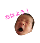 YOUちゃんスタンプ（個別スタンプ：1）