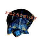 かめきちさんのつぶやき（個別スタンプ：3）