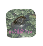かめきちさんのつぶやき（個別スタンプ：7）