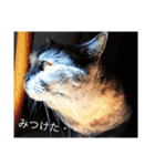 まる子16.2（個別スタンプ：7）