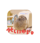 毛玉スタンプ（個別スタンプ：3）