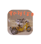 毛玉スタンプ（個別スタンプ：6）