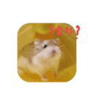 毛玉スタンプ（個別スタンプ：8）