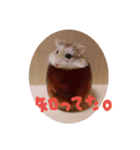 毛玉スタンプ（個別スタンプ：11）