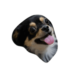 joffodor（個別スタンプ：1）