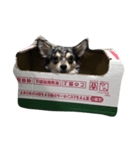 joffodor（個別スタンプ：7）
