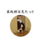 じゅじゅ ＆ ティニー（個別スタンプ：13）