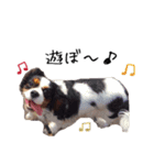 じゅじゅ ＆ ティニー（個別スタンプ：20）
