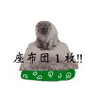 じゅじゅ ＆ ティニー（個別スタンプ：32）