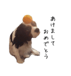 じゅじゅ ＆ ティニー（個別スタンプ：40）