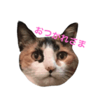 なかやまさんち（個別スタンプ：9）