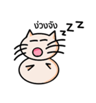 Cat Ordinary Day（個別スタンプ：1）