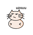 Cat Ordinary Day（個別スタンプ：2）