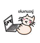Cat Ordinary Day（個別スタンプ：6）
