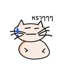 Cat Ordinary Day（個別スタンプ：17）