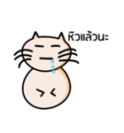 Cat Ordinary Day（個別スタンプ：24）