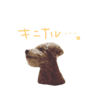 あんずのにちじょう。（個別スタンプ：2）