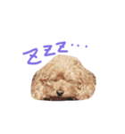 あんずのにちじょう。（個別スタンプ：3）