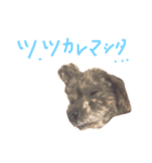 あんずのにちじょう。（個別スタンプ：6）
