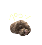 あんずのにちじょう。（個別スタンプ：7）