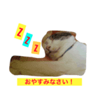 iloveさくらちゃん（個別スタンプ：5）