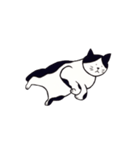 素朴な猫 ”そら”（個別スタンプ：1）