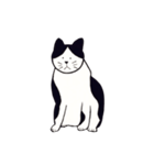 素朴な猫 ”そら”（個別スタンプ：2）