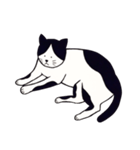 素朴な猫 ”そら”（個別スタンプ：3）