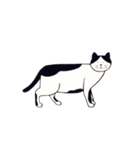 素朴な猫 ”そら”（個別スタンプ：6）