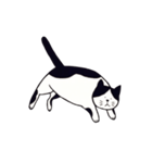 素朴な猫 ”そら”（個別スタンプ：9）