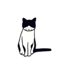 素朴な猫 ”そら”（個別スタンプ：13）