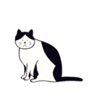 素朴な猫 ”そら”（個別スタンプ：16）