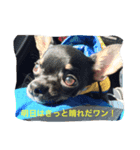 ととビビさんの日常。（個別スタンプ：2）