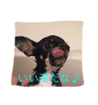 ととビビさんの日常。（個別スタンプ：6）