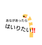あなきち（個別スタンプ：1）