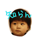 yukito stamps（個別スタンプ：5）