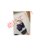 ヘンリーのスタンプ（個別スタンプ：4）