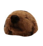 犬の顔（個別スタンプ：8）