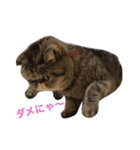 くりまんスタンプ（個別スタンプ：3）